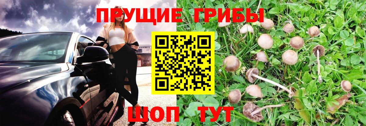 Галлюциногенные грибы GOLDEN TEACHER Арсеньев